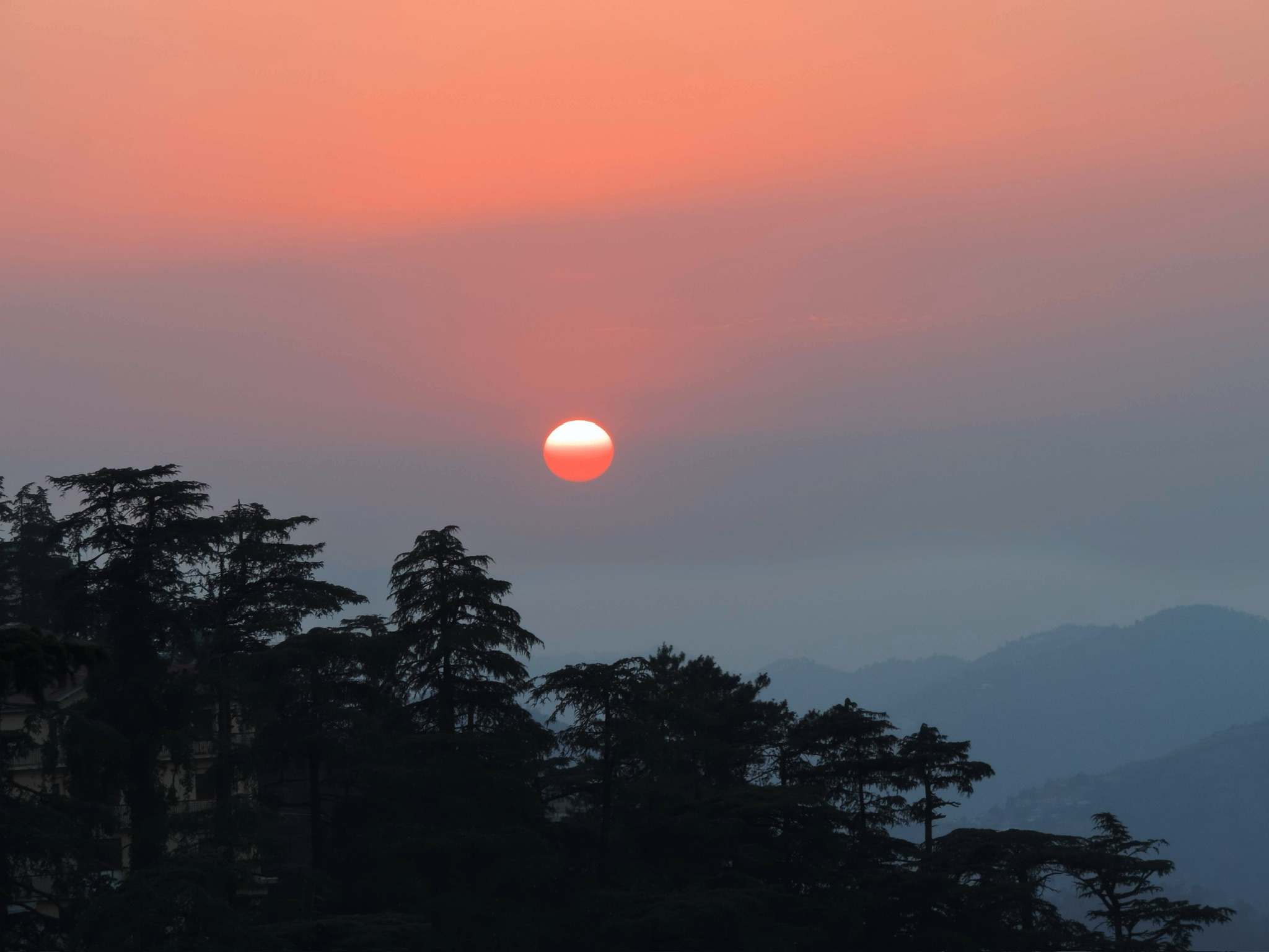Nature Photography