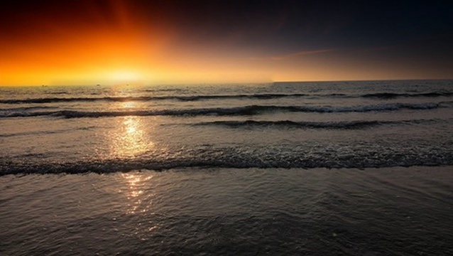 Nature Photography