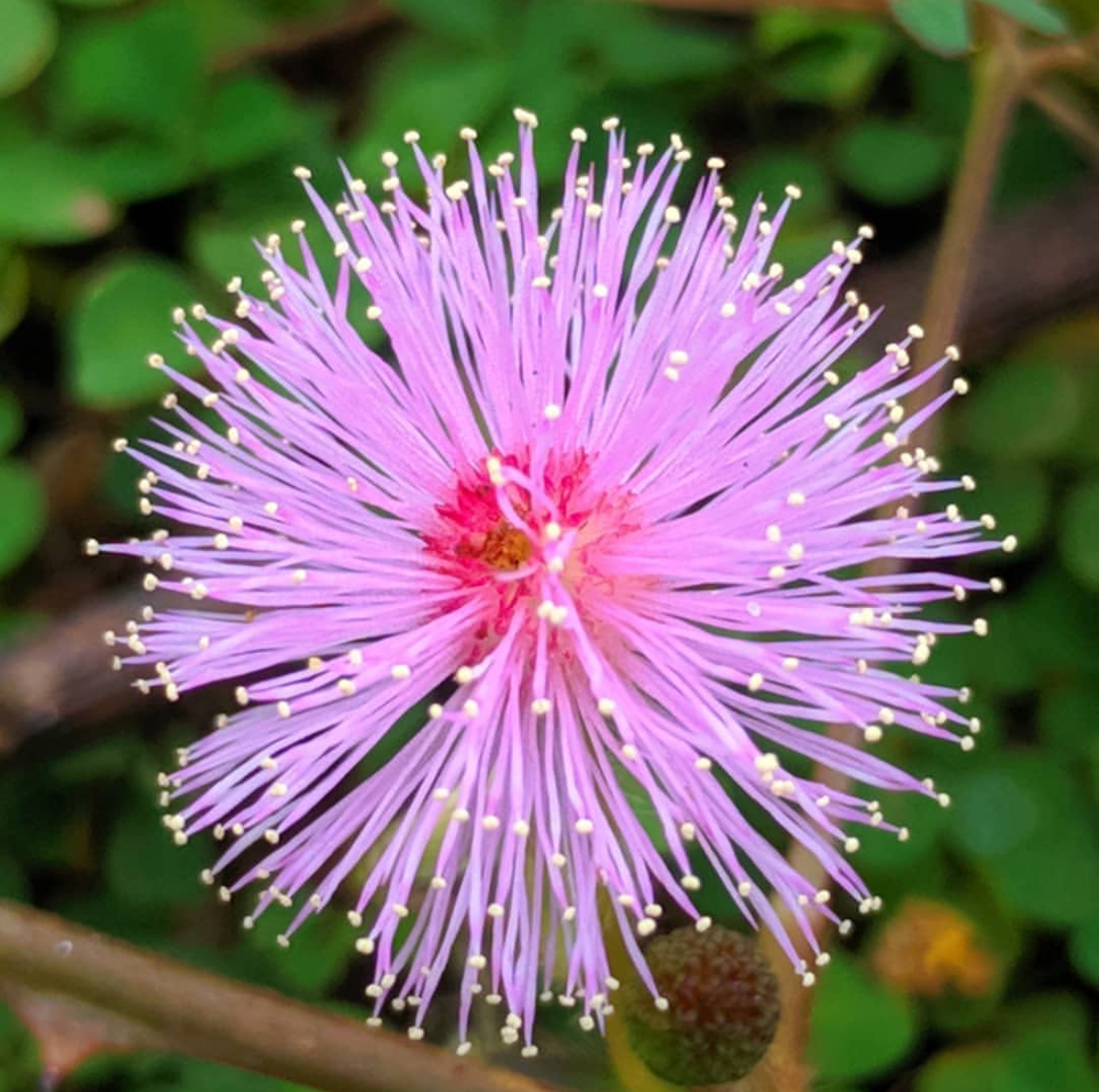 Nature Photography